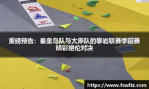 NG体育