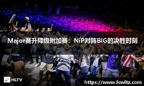 Major赛升降级附加赛：NiP对阵BIG的决胜时刻